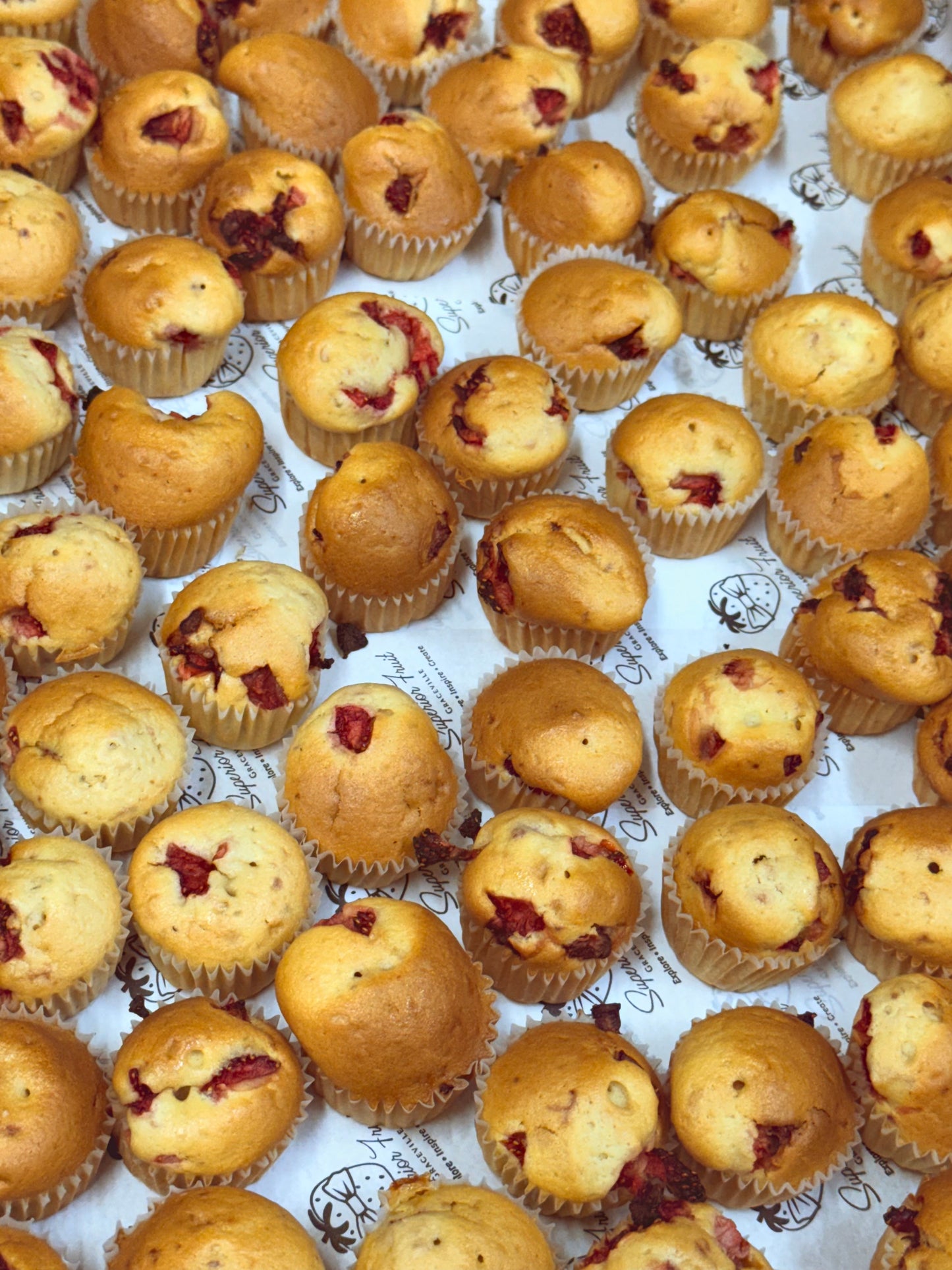 The Perfect Mini Muffin Box (60 mini muffins)